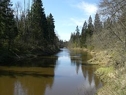 Abava River(3).jpg