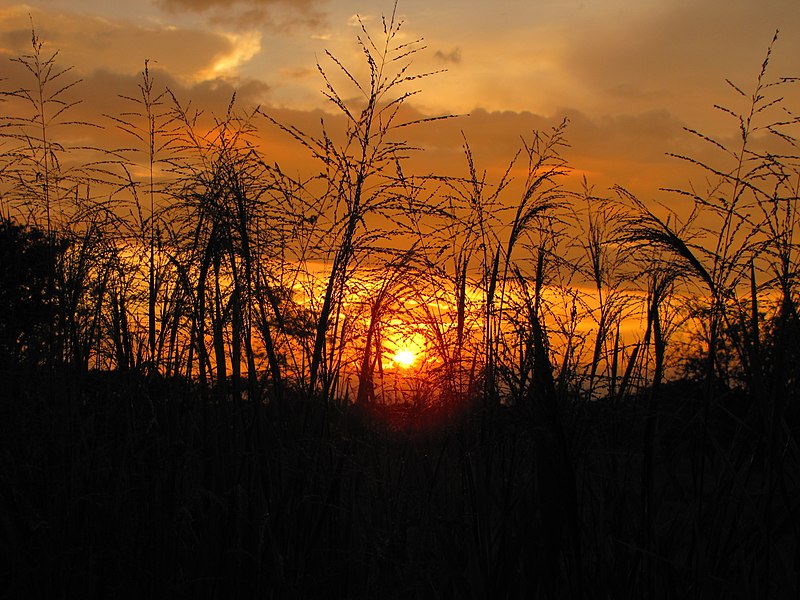 File:Agoniza la tarde.. - panoramio.jpg