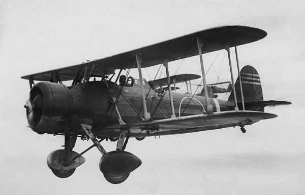 The Aichi D1A2, a carrier-borne dive bomber