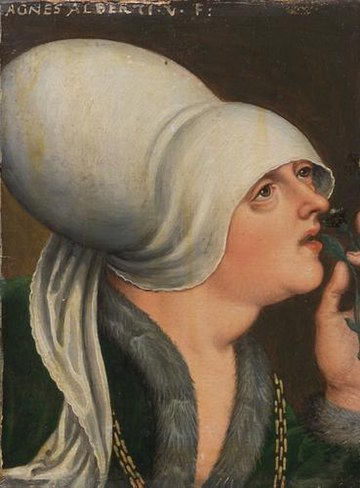 Анна Австрийская (1432—1462)