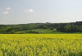 Ansicht Grauer Kopf von Südwesten.jpg