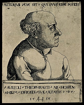 1538 portrait of Paracelsus by Augustin Hirschvogel