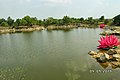 Bửu Long, Bien Hoa, Dong Nai, Vietnam - panoramio (29).jpg