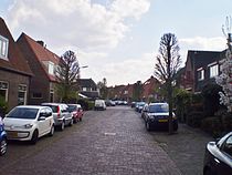 Tulpstraat