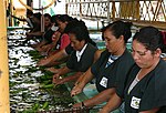 Thumbnail for Banana production in Belize