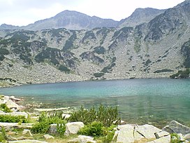 Banderishki chukar.JPG