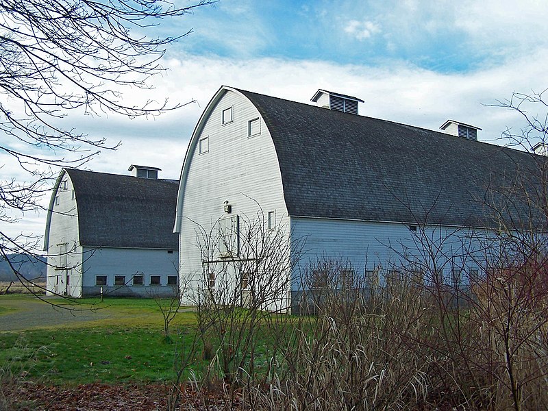 File:Barns at Nisqually - panoramio.jpg