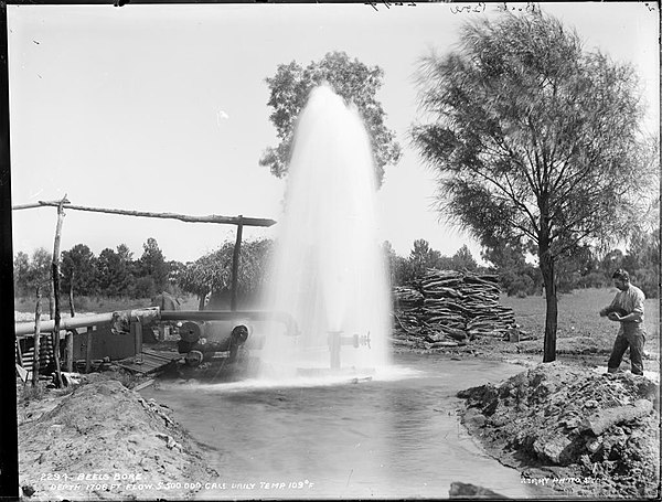 Beel's Bore, Hariman Park near Cunnamulla.