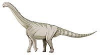 Bellusaurus