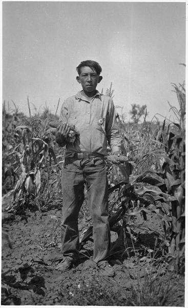 File:Ben Defender Jr with the Alta corn he grew in Kenel District - NARA - 285857.jpg