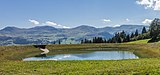 Bergweg tussen Andiast, Ladinas en Breil-Brigels (actm) 15.jpg