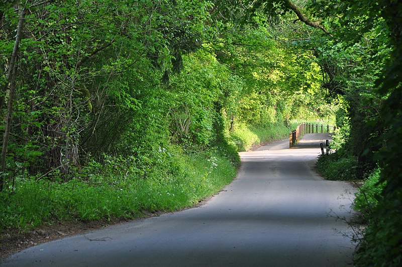 File:Bickleigh - Small Road (geograph 2966017).jpg