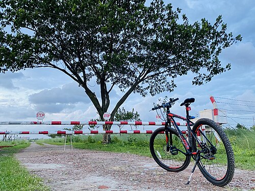 Bicycle and the stop sign