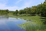 Thumbnail for Mountain Top, Pennsylvania