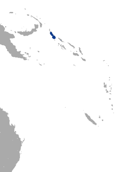 Bougainville Monkey-faced Bat area.png