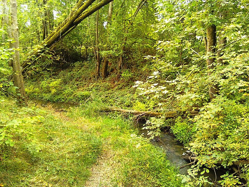 File:Browns Ferry Park Tualatin creek.jpg