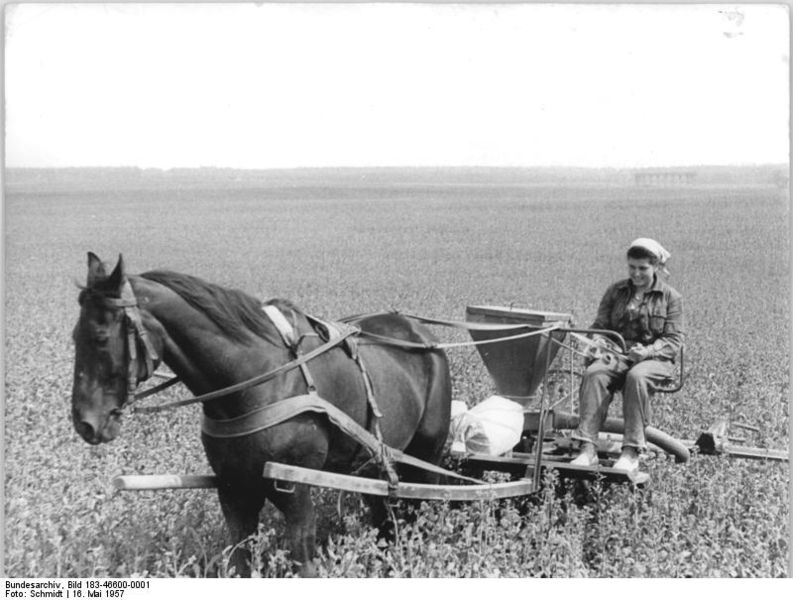 File:Bundesarchiv Bild 183-46600-0001, VEG Prädikow, Schädlingsbekämpfung.jpg