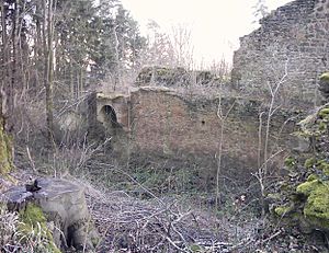 Ebern Burg Rauheneck: Geografische Lage, Geschichte, Beschreibung