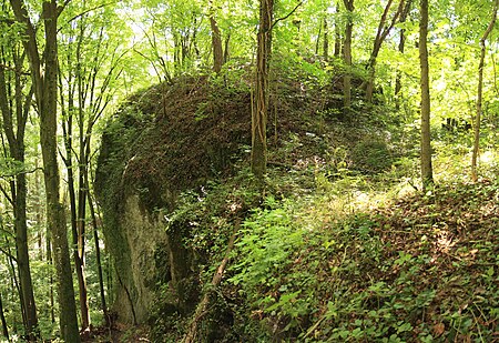 Burgstall Thüngfelderstein01