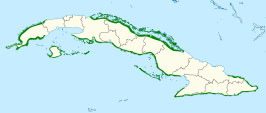 Cubaanse zwarte buizerd
