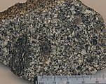 Tangan sampel CC-1 dari S-type Cooma Granodiorite, Australia.