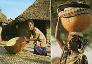 Vasija para recipiente, de cultivos de fruto grande de Lagenaria siceraria, en el oeste de África (la foto es de Gambia). Cultivo de fruto gigante son: 'Giant African Water Bottle'[cita 93]​, 'Kettle' (='African Kettle', ='Big Calabash of Africa')[cita 94]​