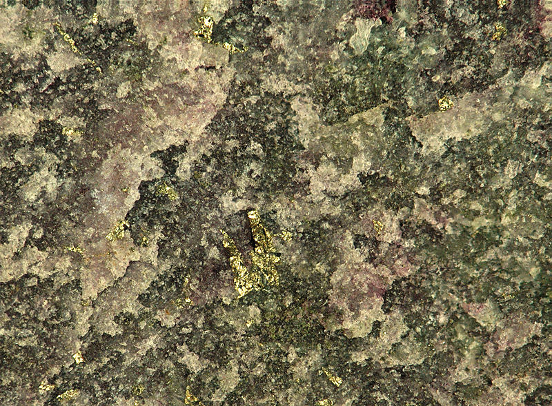 File:Calaverite (AuTe2) in purple fluorite vein, Cripple Creek Diatreme.jpg