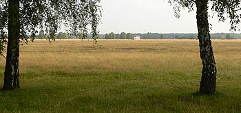 Blick über die weite Sandmagerrasenfläche von Camp Reinsehlen, in der Mitte das als Kunstobjekt gestaltete Transformatorengebäude, 2011