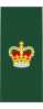 Insignia of a warrant officer