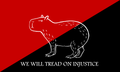 "Capybara_anarchist_flag.png" by User:Di (they-them)