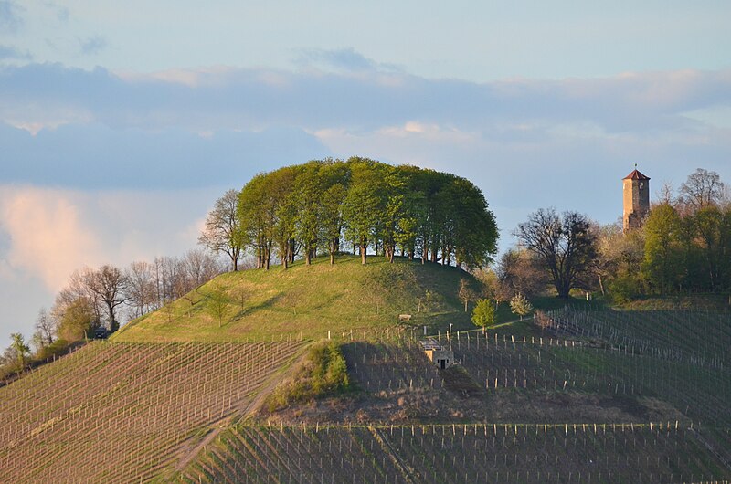 File:Castell Schloßberg mit Turm 001.JPG