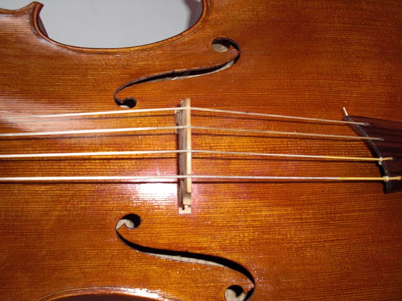 File:Cello strung gut.JPG