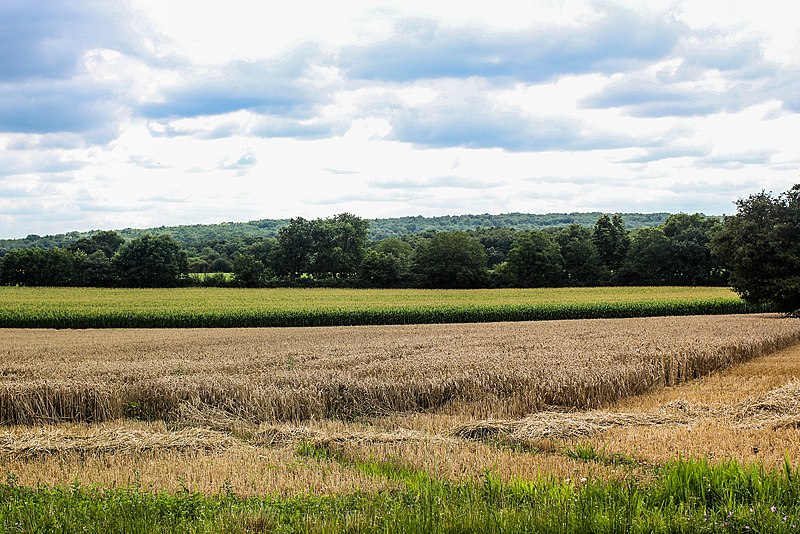 File:Charente O (137547137).jpeg