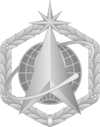 Chief Master Sergeant of the Space Force service cap badge.