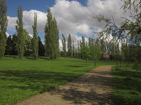 Chinbrook Meadows (geograph 3460386)