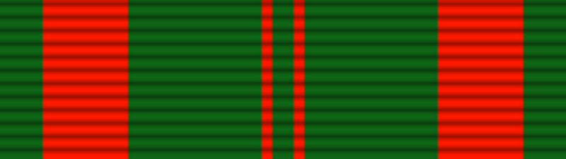 Civil Actions Medal(Individual Award).png