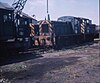 Class 03 shunters.jpg