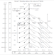 Skupiny Coclass1Tree5