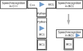 Complex operation of interpreters compilers - compiling and executing an open source speech recognition program.