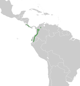 Distribución geográfica del curutié carirrojo.
