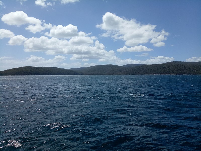 File:Cruise at Port Arthur.jpg