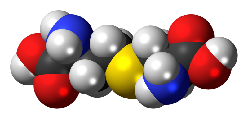 File:Cystathionine 3D spacefill.png