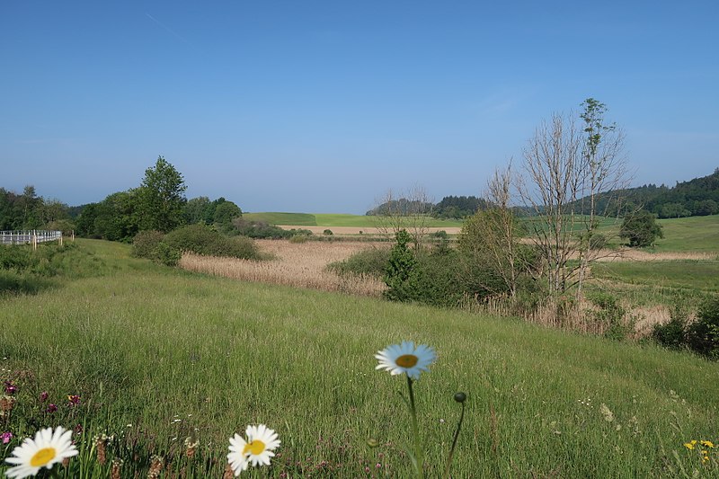 File:D-BW-KN-Konstanz - Mühlhaldenweiher 001.jpg