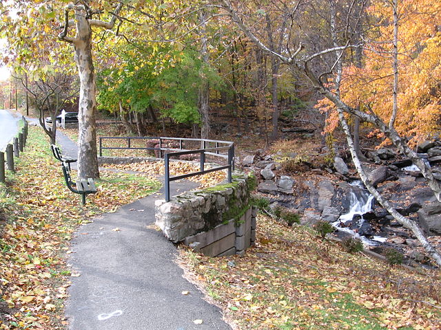 Autumn in Stony Brook Park