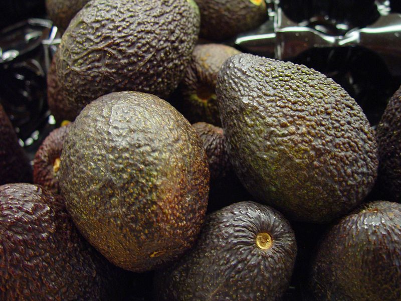 File:Dark avocados fruit.jpg