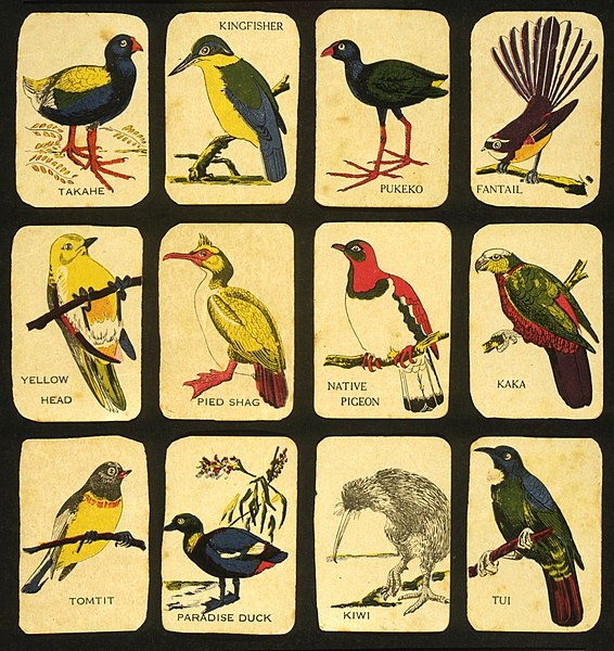 File:Deck of playing cards featuring New Zealand native birds.jpg