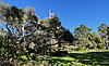 Devendorf Park main lawn area.jpg