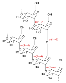 Amylopectin consists of many glucose molecules linked together either by 1,6 or 1,4 linkages. Dextrin skeletal.svg