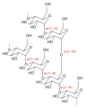 Dekstriini struktuur, kus esinevad α-(1→4) ja α-(1→6) sidemed