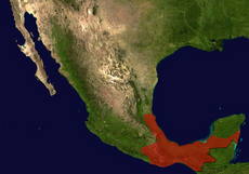 Distribution.Brachypelma.vagans.Mexico.png
